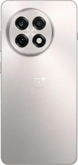 OnePlus 13R 5G Dual SIM 256GB 12GB RAM Astral Trail Silver - 2
