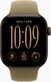 Apple Watch Series 12 42mm (GPS Only) Alluminium Case Dark Bronze with Sport Band Olijfgroen